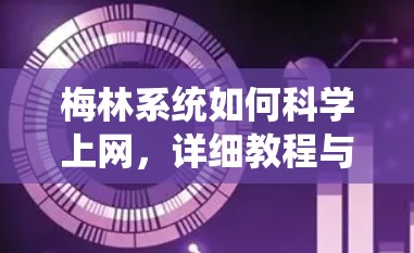梅林系统如何科学上网，详细教程与注意事项