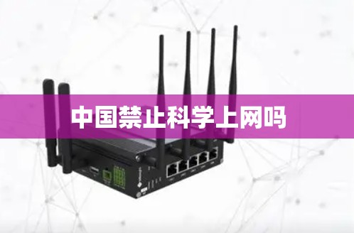 中国禁止科学上网吗