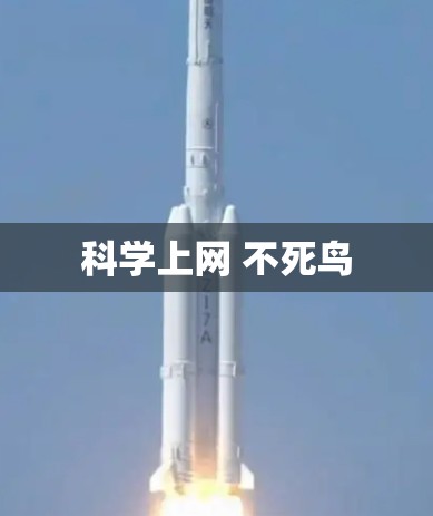 科学上网 不死鸟