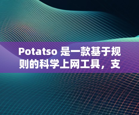 Potatso 是一款基于规则的科学上网工具,支持 Shadowsocks、VMess 等协议。以下是使用 Potatso 进行科学上网的步骤