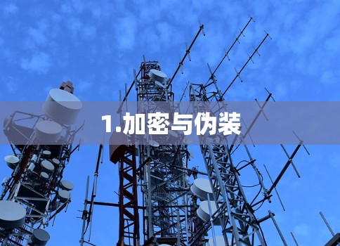 1.加密与伪装